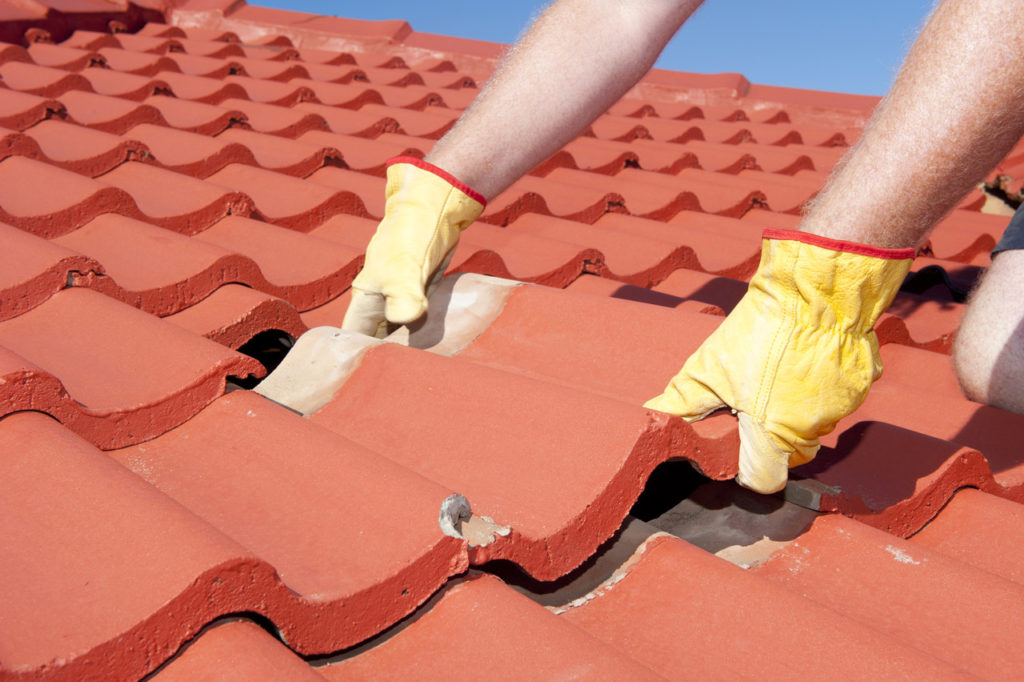Roof Repairs